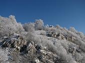 05_La neve sugli alberi